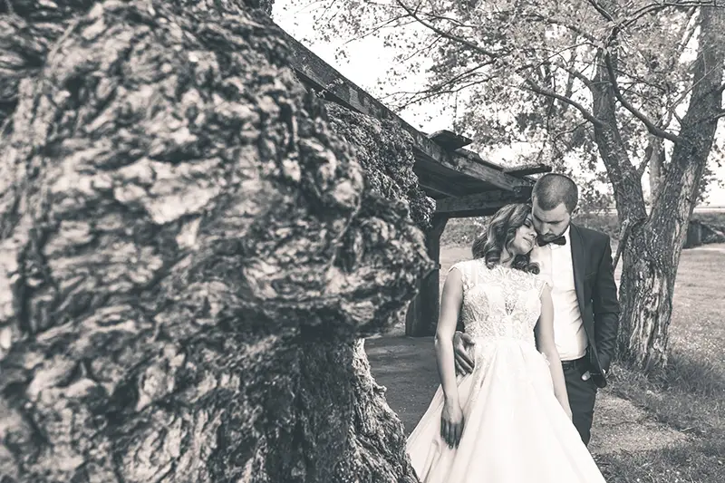 mladenci pokraj stabla mladenci pokraj stabla